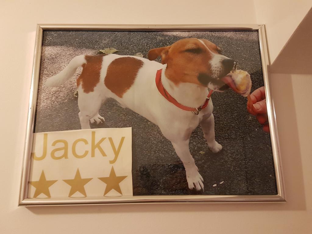 Jacky - City Centar Zagreb Exterior photo